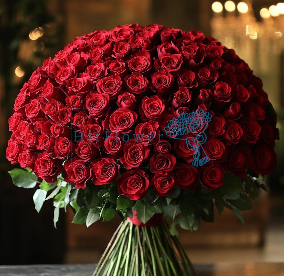 Букет 151 красная роза Букет роз 151 красная роза